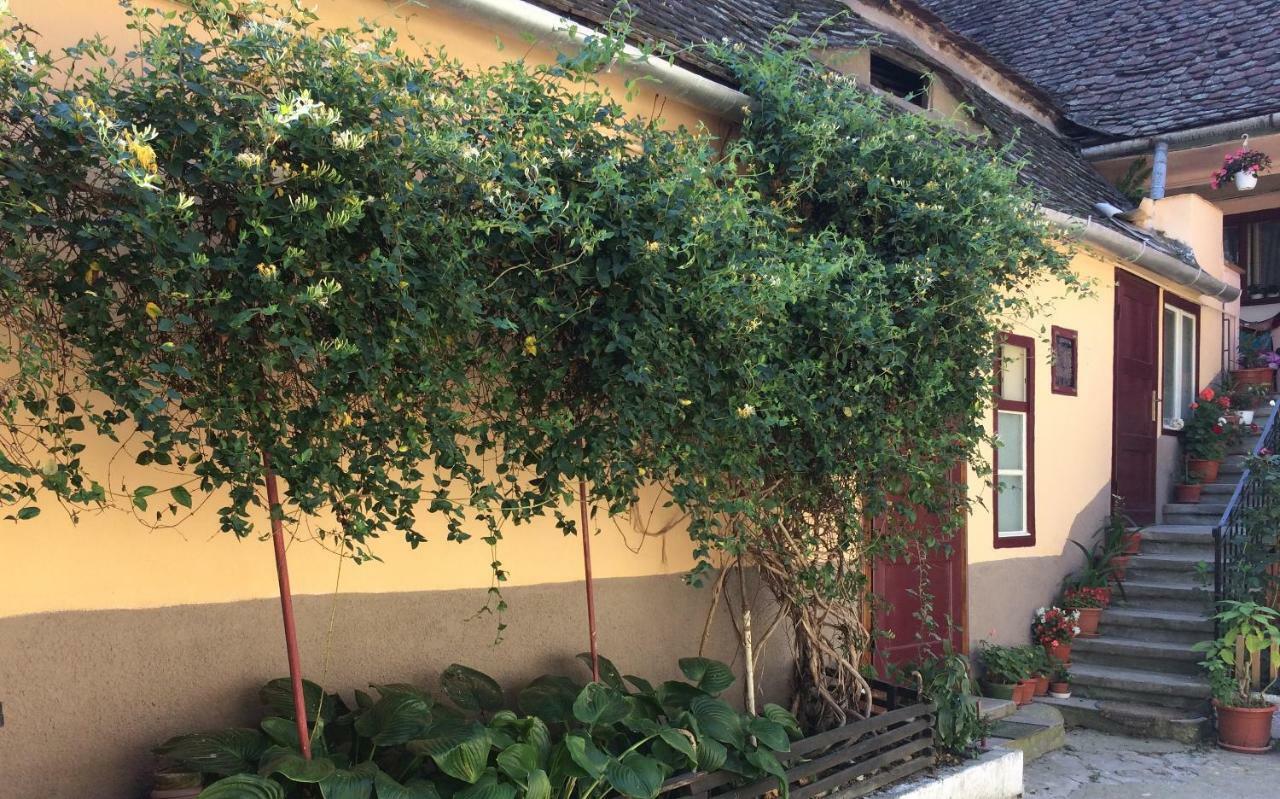 Iony Apartament Sibiu Exteriér fotografie